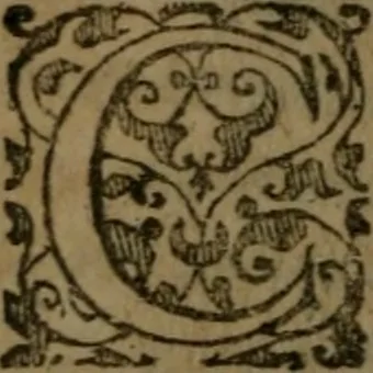 An illustration from Franciscanvs et fratres. Elegiarvm liber I. Silvarvm liber I. Hendecasyllaben liber I. Epigrammtum libri III. Quibus iam recens accedunt De sphaera libri V, 1594, leaf 113