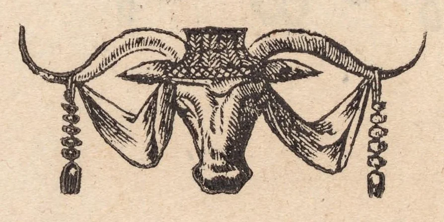 An illustration from Francisci Bovssveti Svrregiani doctoris medici, De natvra aqvatilivm carmen : in vniuersam Gvlielmi Rondeletii doctoris medici, & medicinae in schola Monspeliensi professoris regij celeberrimi historiae, quam de aquatilibus scripsit: Cum veris & natiuis eorum iconibus: Opusculum nunquàm hactenus typis excussum, 1558, leaf 100