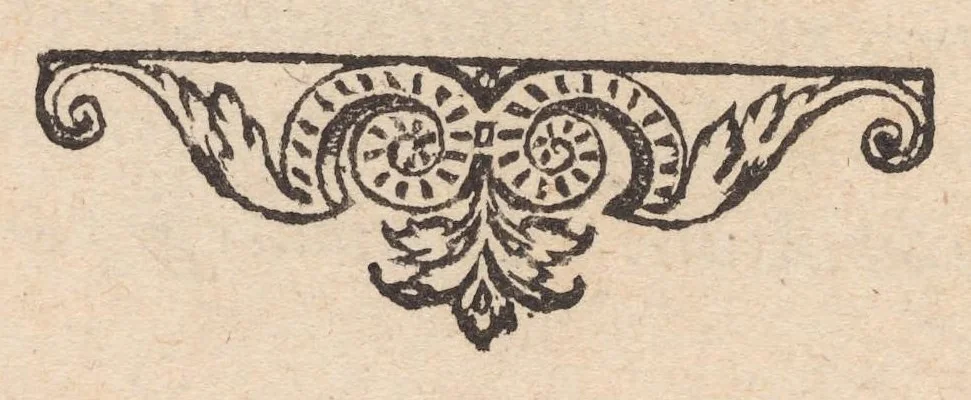 An illustration from Francisci Bovssveti Svrregiani doctoris medici, De natvra aqvatilivm carmen : in vniuersam Gvlielmi Rondeletii doctoris medici, & medicinae in schola Monspeliensi professoris regij celeberrimi historiae, quam de aquatilibus scripsit: Cum veris & natiuis eorum iconibus: Opusculum nunquàm hactenus typis excussum, 1558, leaf 184