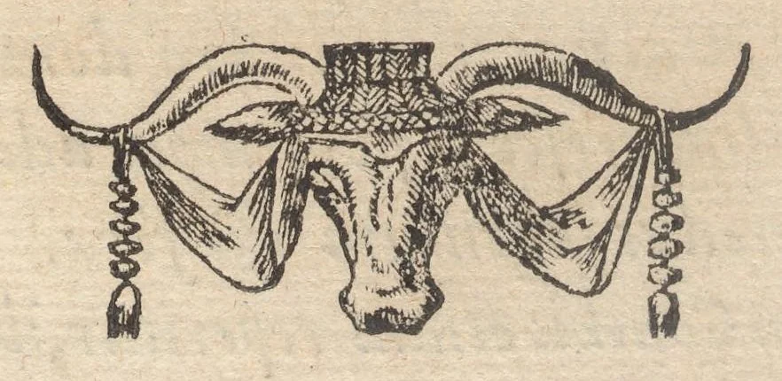 An illustration from Francisci Bovssveti Svrregiani doctoris medici, De natvra aqvatilivm carmen : in vniuersam Gvlielmi Rondeletii doctoris medici, & medicinae in schola Monspeliensi professoris regij celeberrimi historiae, quam de aquatilibus scripsit: Cum veris & natiuis eorum iconibus: Opusculum nunquàm hactenus typis excussum, 1558, leaf 245