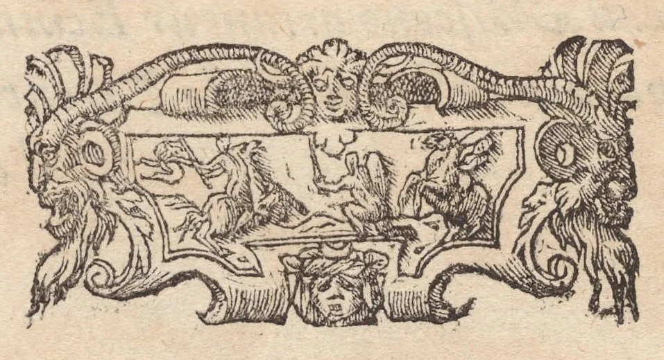 An illustration from Francisci Bovssveti Svrregiani doctoris medici, De natvra aqvatilivm carmen : in vniuersam Gvlielmi Rondeletii doctoris medici, & medicinae in schola Monspeliensi professoris regij celeberrimi historiae, quam de aquatilibus scripsit: Cum veris & natiuis eorum iconibus: Opusculum nunquàm hactenus typis excussum, 1558, leaf 290