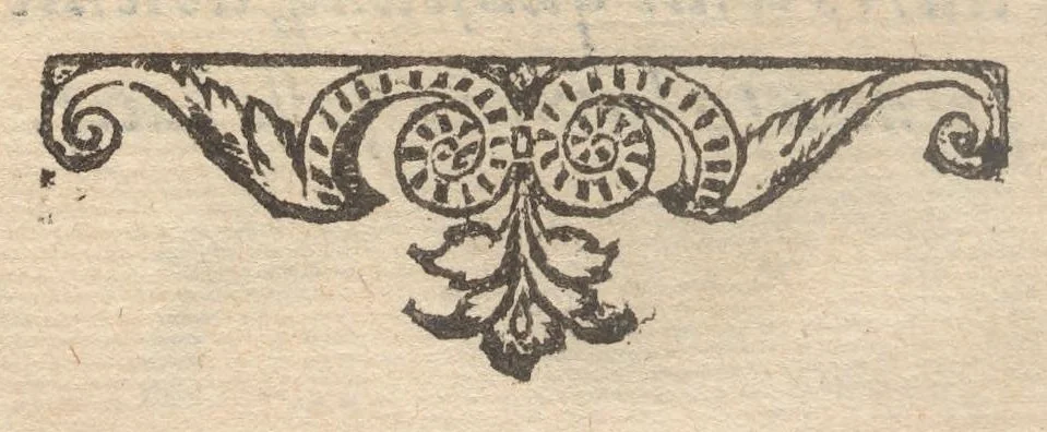An illustration from Francisci Bovssveti Svrregiani doctoris medici, De natvra aqvatilivm carmen : in vniuersam Gvlielmi Rondeletii doctoris medici, & medicinae in schola Monspeliensi professoris regij celeberrimi historiae, quam de aquatilibus scripsit: Cum veris & natiuis eorum iconibus: Opusculum nunquàm hactenus typis excussum, 1558, leaf 369