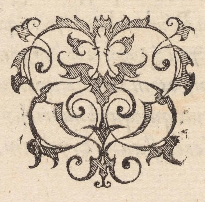 An illustration from Francisci Bovssveti Svrregiani doctoris medici, De natvra aqvatilivm carmen : in vniuersam Gvlielmi Rondeletii doctoris medici, & medicinae in schola Monspeliensi professoris regij celeberrimi historiae, quam de aquatilibus scripsit: Cum veris & natiuis eorum iconibus: Opusculum nunquàm hactenus typis excussum, 1558, leaf 42