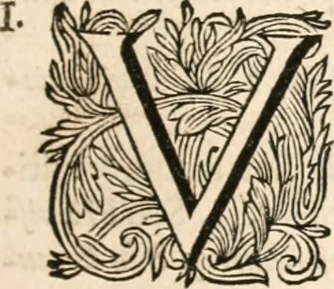 An illustration from Francisci Burmanni ... Synopsis theologiæ & speciatim oeconomiæ foederum Dei : ab initio sæculorum usque ad consummationem eorum .., 1671, leaf 40