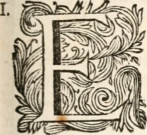 An illustration from Francisci Burmanni ... Synopsis theologiæ & speciatim oeconomiæ foederum Dei : ab initio sæculorum usque ad consummationem eorum .., 1671, leaf 628