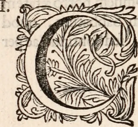 An illustration from Francisci Burmanni ... Synopsis theologiæ & speciatim oeconomiæ foederum Dei : ab initio sæculorum usque ad consummationem eorum .., 1671, leaf 723