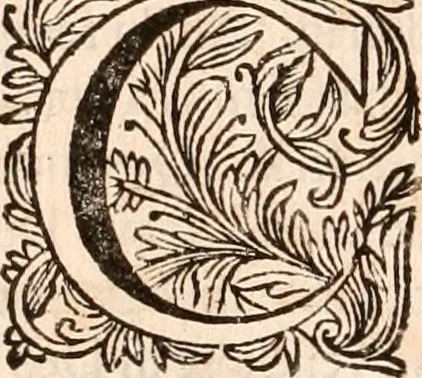 An illustration from Francisci Burmanni ... Synopsis theologiæ & speciatim oeconomiæ foederum Dei : ab initio sæculorum usque ad consummationem eorum .., 1671, leaf 203