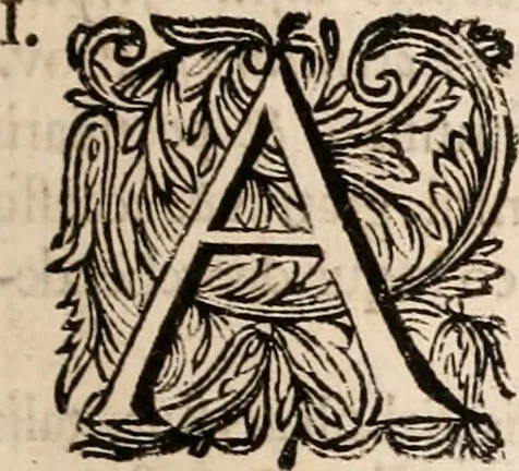 An illustration from Francisci Burmanni ... Synopsis theologiæ & speciatim oeconomiæ foederum Dei : ab initio sæculorum usque ad consummationem eorum .., 1671, leaf 4