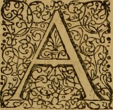 An illustration from Francisci Censalii, U.J.D. advocati neapolitani, Observationes singulares : cum additionibus ad Tractatum de fidei-commissis Marci Antonii Peregrini ... : in quibus singularia juris responsa ac subsequutae in causis decisiones è supremis senatibus Regni Neapol. adnectuntur, & innumerae quaestiones praeter, vel contrà Peregrini sensum compendiosè, sed dilucidè observantur, ac novissimorum doctorum et senatuum placita & vota ad caetera dicta cumulantur ..., 1669, leaf 428