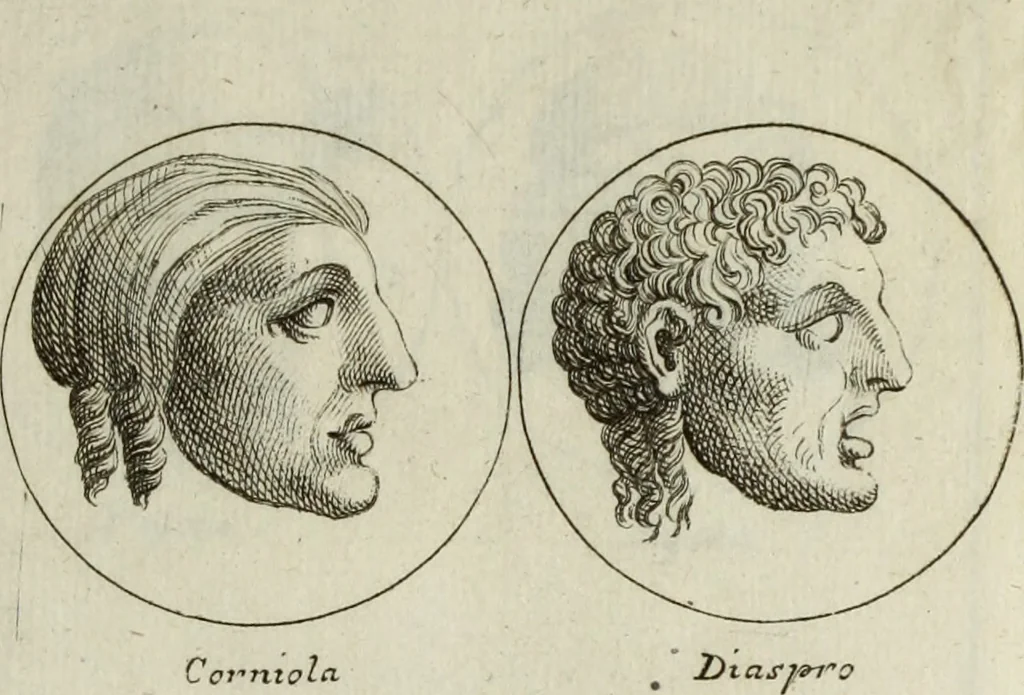 An illustration from Francisci Ficoronii Reg. Lond. Acad. socii dissertatio de larvis scenicis et figuris comicis antiquorum Romanorum, et ex Italica in Latinam linguam versa, 1754, leaf 266
