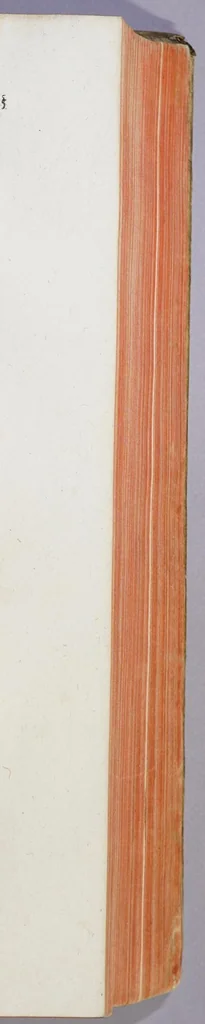 An illustration from Francisci Guicciardini patricii Florentini Historiarum sui temporis libri viginti,, 1566, leaf 339