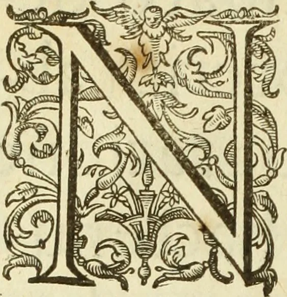 An illustration from Francisci Haraei Annales ducum seu principum Brabantiae totiusq. Belgii : tomi tres : quorum primo solius Brabantiae, secundo Belgii vniti principum res gestae, tertio belgici tumultus, vsque ad inducias anno M. DC. IX. pactas, enarrantur : cum ducum seu principum imaginibus, et breui rerum per omnem Europam illustrium narratione, 1623, leaf 11