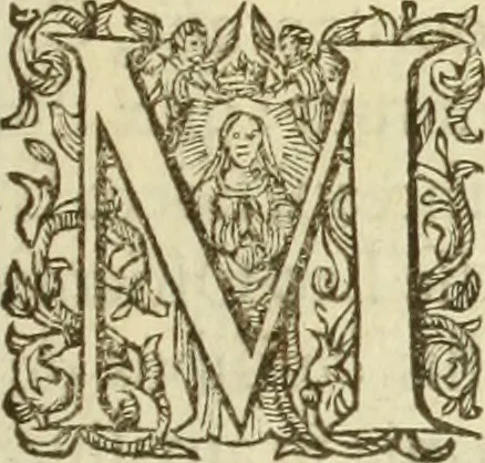 An illustration from Francisci Haraei Annales ducum seu principum Brabantiae totiusq. Belgii : tomi tres : quorum primo solius Brabantiae, secundo Belgii vniti principum res gestae, tertio belgici tumultus, vsque ad inducias anno M. DC. IX. pactas, enarrantur : cum ducum seu principum imaginibus, et breui rerum per omnem Europam illustrium narratione, 1623, leaf 110
