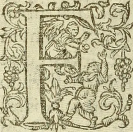 An illustration from Francisci Haraei Annales ducum seu principum Brabantiae totiusq. Belgii : tomi tres : quorum primo solius Brabantiae, secundo Belgii vniti principum res gestae, tertio belgici tumultus, vsque ad inducias anno M. DC. IX. pactas, enarrantur : cum ducum seu principum imaginibus, et breui rerum per omnem Europam illustrium narratione, 1623, leaf 119