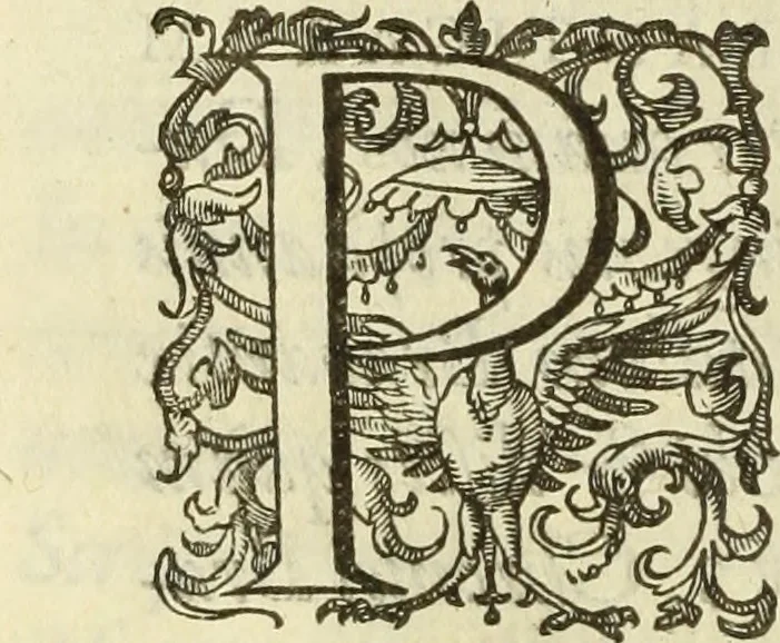 An illustration from Francisci Haraei Annales ducum seu principum Brabantiae totiusq. Belgii : tomi tres : quorum primo solius Brabantiae, secundo Belgii vniti principum res gestae, tertio belgici tumultus, vsque ad inducias anno M. DC. IX. pactas, enarrantur : cum ducum seu principum imaginibus, et breui rerum per omnem Europam illustrium narratione, 1623, leaf 13