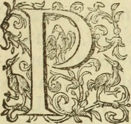 An illustration from Francisci Haraei Annales ducum seu principum Brabantiae totiusq. Belgii : tomi tres : quorum primo solius Brabantiae, secundo Belgii vniti principum res gestae, tertio belgici tumultus, vsque ad inducias anno M. DC. IX. pactas, enarrantur : cum ducum seu principum imaginibus, et breui rerum per omnem Europam illustrium narratione, 1623, leaf 134