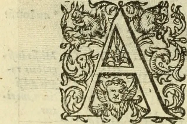 An illustration from Francisci Haraei Annales ducum seu principum Brabantiae totiusq. Belgii : tomi tres : quorum primo solius Brabantiae, secundo Belgii vniti principum res gestae, tertio belgici tumultus, vsque ad inducias anno M. DC. IX. pactas, enarrantur : cum ducum seu principum imaginibus, et breui rerum per omnem Europam illustrium narratione, 1623, leaf 139