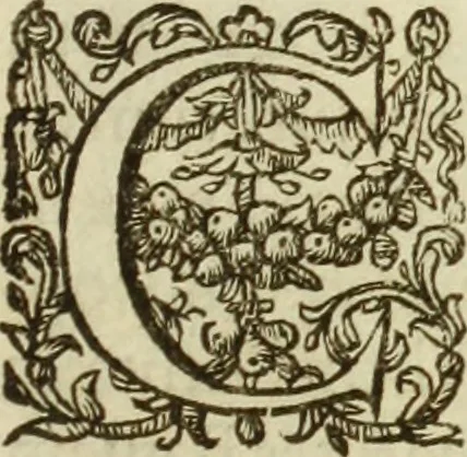 An illustration from Francisci Haraei Annales ducum seu principum Brabantiae totiusq. Belgii : tomi tres : quorum primo solius Brabantiae, secundo Belgii vniti principum res gestae, tertio belgici tumultus, vsque ad inducias anno M. DC. IX. pactas, enarrantur : cum ducum seu principum imaginibus, et breui rerum per omnem Europam illustrium narratione, 1623, leaf 148