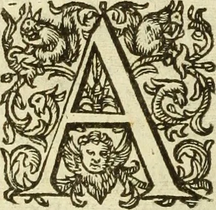 An illustration from Francisci Haraei Annales ducum seu principum Brabantiae totiusq. Belgii : tomi tres : quorum primo solius Brabantiae, secundo Belgii vniti principum res gestae, tertio belgici tumultus, vsque ad inducias anno M. DC. IX. pactas, enarrantur : cum ducum seu principum imaginibus, et breui rerum per omnem Europam illustrium narratione, 1623, leaf 169