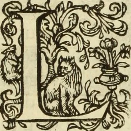 An illustration from Francisci Haraei Annales ducum seu principum Brabantiae totiusq. Belgii : tomi tres : quorum primo solius Brabantiae, secundo Belgii vniti principum res gestae, tertio belgici tumultus, vsque ad inducias anno M. DC. IX. pactas, enarrantur : cum ducum seu principum imaginibus, et breui rerum per omnem Europam illustrium narratione, 1623, leaf 181