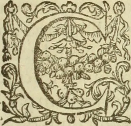 An illustration from Francisci Haraei Annales ducum seu principum Brabantiae totiusq. Belgii : tomi tres : quorum primo solius Brabantiae, secundo Belgii vniti principum res gestae, tertio belgici tumultus, vsque ad inducias anno M. DC. IX. pactas, enarrantur : cum ducum seu principum imaginibus, et breui rerum per omnem Europam illustrium narratione, 1623, leaf 190