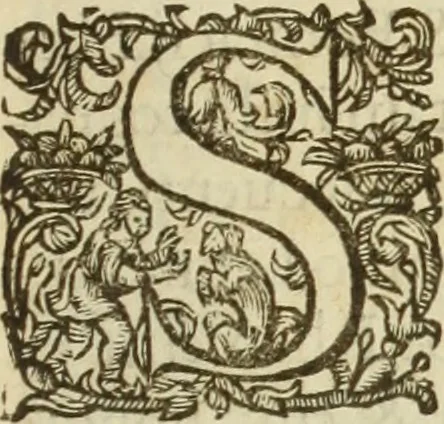 An illustration from Francisci Haraei Annales ducum seu principum Brabantiae totiusq. Belgii : tomi tres : quorum primo solius Brabantiae, secundo Belgii vniti principum res gestae, tertio belgici tumultus, vsque ad inducias anno M. DC. IX. pactas, enarrantur : cum ducum seu principum imaginibus, et breui rerum per omnem Europam illustrium narratione, 1623, leaf 196