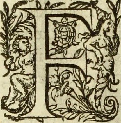 An illustration from Francisci Haraei Annales ducum seu principum Brabantiae totiusq. Belgii : tomi tres : quorum primo solius Brabantiae, secundo Belgii vniti principum res gestae, tertio belgici tumultus, vsque ad inducias anno M. DC. IX. pactas, enarrantur : cum ducum seu principum imaginibus, et breui rerum per omnem Europam illustrium narratione, 1623, leaf 203