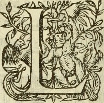An illustration from Francisci Haraei Annales ducum seu principum Brabantiae totiusq. Belgii : tomi tres : quorum primo solius Brabantiae, secundo Belgii vniti principum res gestae, tertio belgici tumultus, vsque ad inducias anno M. DC. IX. pactas, enarrantur : cum ducum seu principum imaginibus, et breui rerum per omnem Europam illustrium narratione, 1623, leaf 209