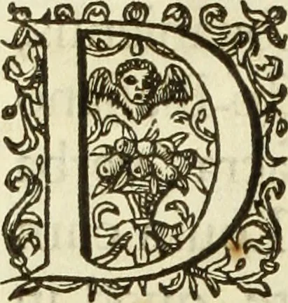An illustration from Francisci Haraei Annales ducum seu principum Brabantiae totiusq. Belgii : tomi tres : quorum primo solius Brabantiae, secundo Belgii vniti principum res gestae, tertio belgici tumultus, vsque ad inducias anno M. DC. IX. pactas, enarrantur : cum ducum seu principum imaginibus, et breui rerum per omnem Europam illustrium narratione, 1623, leaf 21