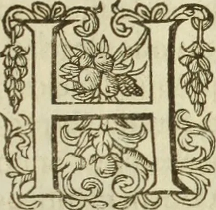 An illustration from Francisci Haraei Annales ducum seu principum Brabantiae totiusq. Belgii : tomi tres : quorum primo solius Brabantiae, secundo Belgii vniti principum res gestae, tertio belgici tumultus, vsque ad inducias anno M. DC. IX. pactas, enarrantur : cum ducum seu principum imaginibus, et breui rerum per omnem Europam illustrium narratione, 1623, leaf 214