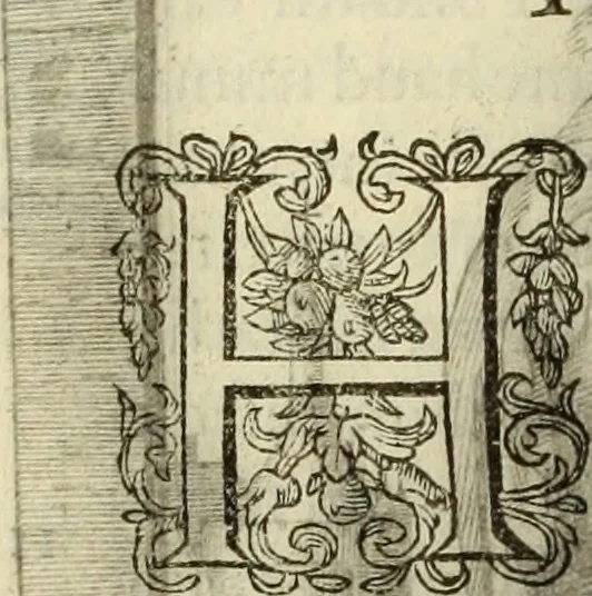 An illustration from Francisci Haraei Annales ducum seu principum Brabantiae totiusq. Belgii : tomi tres : quorum primo solius Brabantiae, secundo Belgii vniti principum res gestae, tertio belgici tumultus, vsque ad inducias anno M. DC. IX. pactas, enarrantur : cum ducum seu principum imaginibus, et breui rerum per omnem Europam illustrium narratione, 1623, leaf 271