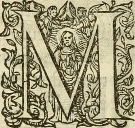 An illustration from Francisci Haraei Annales ducum seu principum Brabantiae totiusq. Belgii : tomi tres : quorum primo solius Brabantiae, secundo Belgii vniti principum res gestae, tertio belgici tumultus, vsque ad inducias anno M. DC. IX. pactas, enarrantur : cum ducum seu principum imaginibus, et breui rerum per omnem Europam illustrium narratione, 1623, leaf 289