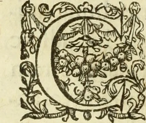 An illustration from Francisci Haraei Annales ducum seu principum Brabantiae totiusq. Belgii : tomi tres : quorum primo solius Brabantiae, secundo Belgii vniti principum res gestae, tertio belgici tumultus, vsque ad inducias anno M. DC. IX. pactas, enarrantur : cum ducum seu principum imaginibus, et breui rerum per omnem Europam illustrium narratione, 1623, leaf 29