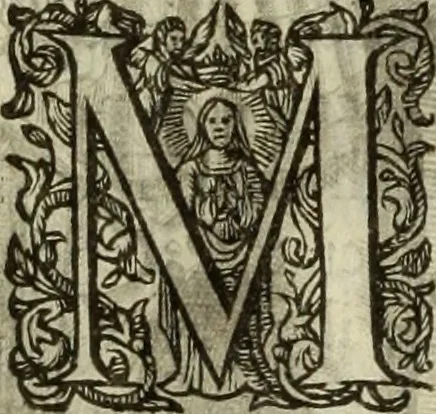 An illustration from Francisci Haraei Annales ducum seu principum Brabantiae totiusq. Belgii : tomi tres : quorum primo solius Brabantiae, secundo Belgii vniti principum res gestae, tertio belgici tumultus, vsque ad inducias anno M. DC. IX. pactas, enarrantur : cum ducum seu principum imaginibus, et breui rerum per omnem Europam illustrium narratione, 1623, leaf 307