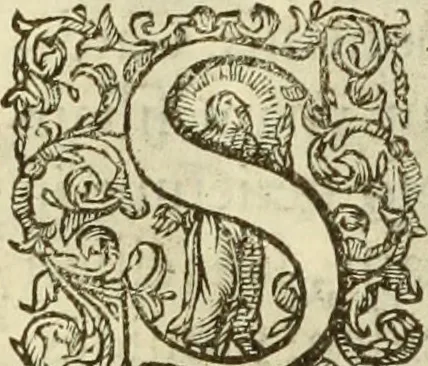 An illustration from Francisci Haraei Annales ducum seu principum Brabantiae totiusq. Belgii : tomi tres : quorum primo solius Brabantiae, secundo Belgii vniti principum res gestae, tertio belgici tumultus, vsque ad inducias anno M. DC. IX. pactas, enarrantur : cum ducum seu principum imaginibus, et breui rerum per omnem Europam illustrium narratione, 1623, leaf 315