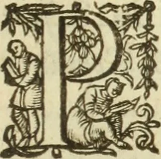 An illustration from Francisci Haraei Annales ducum seu principum Brabantiae totiusq. Belgii : tomi tres : quorum primo solius Brabantiae, secundo Belgii vniti principum res gestae, tertio belgici tumultus, vsque ad inducias anno M. DC. IX. pactas, enarrantur : cum ducum seu principum imaginibus, et breui rerum per omnem Europam illustrium narratione, 1623, leaf 32