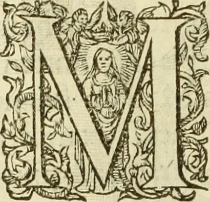 An illustration from Francisci Haraei Annales ducum seu principum Brabantiae totiusq. Belgii : tomi tres : quorum primo solius Brabantiae, secundo Belgii vniti principum res gestae, tertio belgici tumultus, vsque ad inducias anno M. DC. IX. pactas, enarrantur : cum ducum seu principum imaginibus, et breui rerum per omnem Europam illustrium narratione, 1623, leaf 329