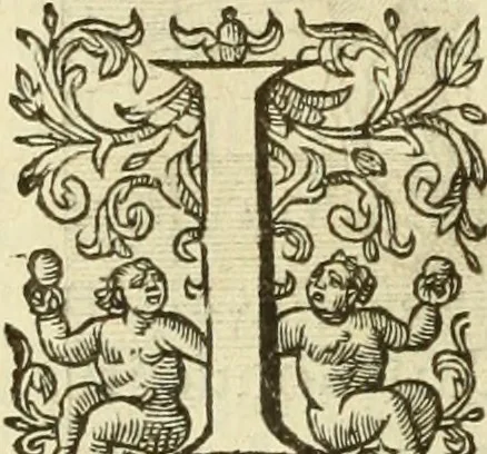 An illustration from Francisci Haraei Annales ducum seu principum Brabantiae totiusq. Belgii : tomi tres : quorum primo solius Brabantiae, secundo Belgii vniti principum res gestae, tertio belgici tumultus, vsque ad inducias anno M. DC. IX. pactas, enarrantur : cum ducum seu principum imaginibus, et breui rerum per omnem Europam illustrium narratione, 1623, leaf 341