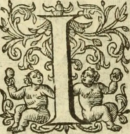 An illustration from Francisci Haraei Annales ducum seu principum Brabantiae totiusq. Belgii : tomi tres : quorum primo solius Brabantiae, secundo Belgii vniti principum res gestae, tertio belgici tumultus, vsque ad inducias anno M. DC. IX. pactas, enarrantur : cum ducum seu principum imaginibus, et breui rerum per omnem Europam illustrium narratione, 1623, leaf 367