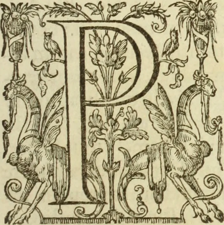 An illustration from Francisci Haraei Annales ducum seu principum Brabantiae totiusq. Belgii : tomi tres : quorum primo solius Brabantiae, secundo Belgii vniti principum res gestae, tertio belgici tumultus, vsque ad inducias anno M. DC. IX. pactas, enarrantur : cum ducum seu principum imaginibus, et breui rerum per omnem Europam illustrium narratione, 1623, leaf 40