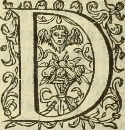 An illustration from Francisci Haraei Annales ducum seu principum Brabantiae totiusq. Belgii : tomi tres : quorum primo solius Brabantiae, secundo Belgii vniti principum res gestae, tertio belgici tumultus, vsque ad inducias anno M. DC. IX. pactas, enarrantur : cum ducum seu principum imaginibus, et breui rerum per omnem Europam illustrium narratione, 1623, leaf 423