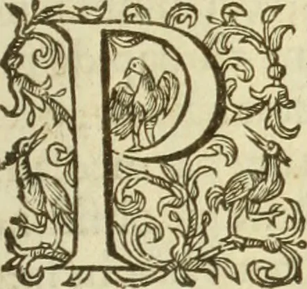 An illustration from Francisci Haraei Annales ducum seu principum Brabantiae totiusq. Belgii : tomi tres : quorum primo solius Brabantiae, secundo Belgii vniti principum res gestae, tertio belgici tumultus, vsque ad inducias anno M. DC. IX. pactas, enarrantur : cum ducum seu principum imaginibus, et breui rerum per omnem Europam illustrium narratione, 1623, leaf 442