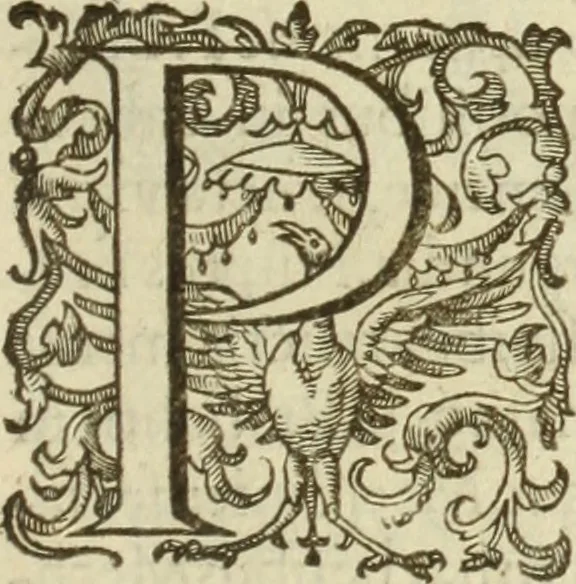 An illustration from Francisci Haraei Annales ducum seu principum Brabantiae totiusq. Belgii : tomi tres : quorum primo solius Brabantiae, secundo Belgii vniti principum res gestae, tertio belgici tumultus, vsque ad inducias anno M. DC. IX. pactas, enarrantur : cum ducum seu principum imaginibus, et breui rerum per omnem Europam illustrium narratione, 1623, leaf 454