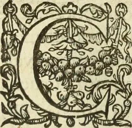 An illustration from Francisci Haraei Annales ducum seu principum Brabantiae totiusq. Belgii : tomi tres : quorum primo solius Brabantiae, secundo Belgii vniti principum res gestae, tertio belgici tumultus, vsque ad inducias anno M. DC. IX. pactas, enarrantur : cum ducum seu principum imaginibus, et breui rerum per omnem Europam illustrium narratione, 1623, leaf 467