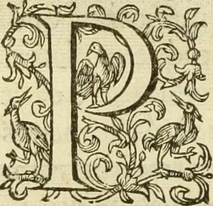 An illustration from Francisci Haraei Annales ducum seu principum Brabantiae totiusq. Belgii : tomi tres : quorum primo solius Brabantiae, secundo Belgii vniti principum res gestae, tertio belgici tumultus, vsque ad inducias anno M. DC. IX. pactas, enarrantur : cum ducum seu principum imaginibus, et breui rerum per omnem Europam illustrium narratione, 1623, leaf 49
