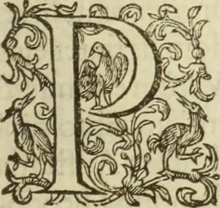An illustration from Francisci Haraei Annales ducum seu principum Brabantiae totiusq. Belgii : tomi tres : quorum primo solius Brabantiae, secundo Belgii vniti principum res gestae, tertio belgici tumultus, vsque ad inducias anno M. DC. IX. pactas, enarrantur : cum ducum seu principum imaginibus, et breui rerum per omnem Europam illustrium narratione, 1623, leaf 54
