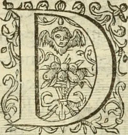 An illustration from Francisci Haraei Annales ducum seu principum Brabantiae totiusq. Belgii : tomi tres : quorum primo solius Brabantiae, secundo Belgii vniti principum res gestae, tertio belgici tumultus, vsque ad inducias anno M. DC. IX. pactas, enarrantur : cum ducum seu principum imaginibus, et breui rerum per omnem Europam illustrium narratione, 1623, leaf 557