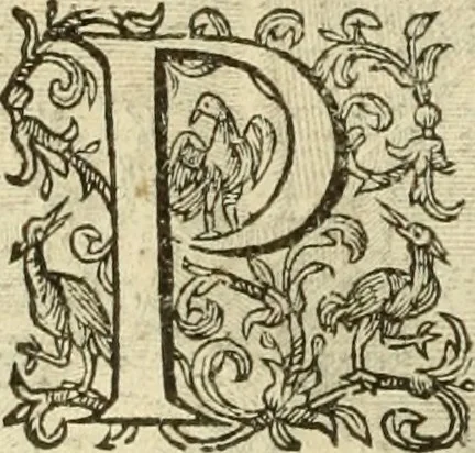 An illustration from Francisci Haraei Annales ducum seu principum Brabantiae totiusq. Belgii : tomi tres : quorum primo solius Brabantiae, secundo Belgii vniti principum res gestae, tertio belgici tumultus, vsque ad inducias anno M. DC. IX. pactas, enarrantur : cum ducum seu principum imaginibus, et breui rerum per omnem Europam illustrium narratione, 1623, leaf 67