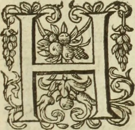 An illustration from Francisci Haraei Annales ducum seu principum Brabantiae totiusq. Belgii : tomi tres : quorum primo solius Brabantiae, secundo Belgii vniti principum res gestae, tertio belgici tumultus, vsque ad inducias anno M. DC. IX. pactas, enarrantur : cum ducum seu principum imaginibus, et breui rerum per omnem Europam illustrium narratione, 1623, leaf 720