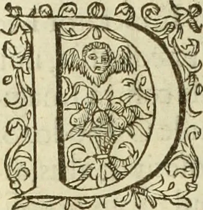An illustration from Francisci Haraei Annales ducum seu principum Brabantiae totiusq. Belgii : tomi tres : quorum primo solius Brabantiae, secundo Belgii vniti principum res gestae, tertio belgici tumultus, vsque ad inducias anno M. DC. IX. pactas, enarrantur : cum ducum seu principum imaginibus, et breui rerum per omnem Europam illustrium narratione, 1623, leaf 75
